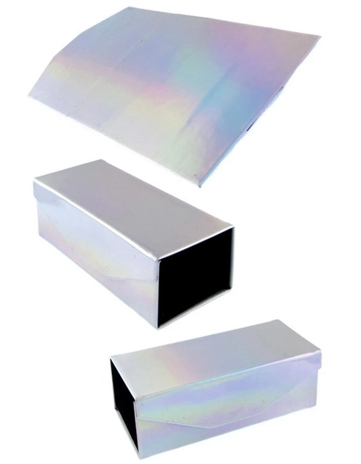 Holographic Foldable Travel Case